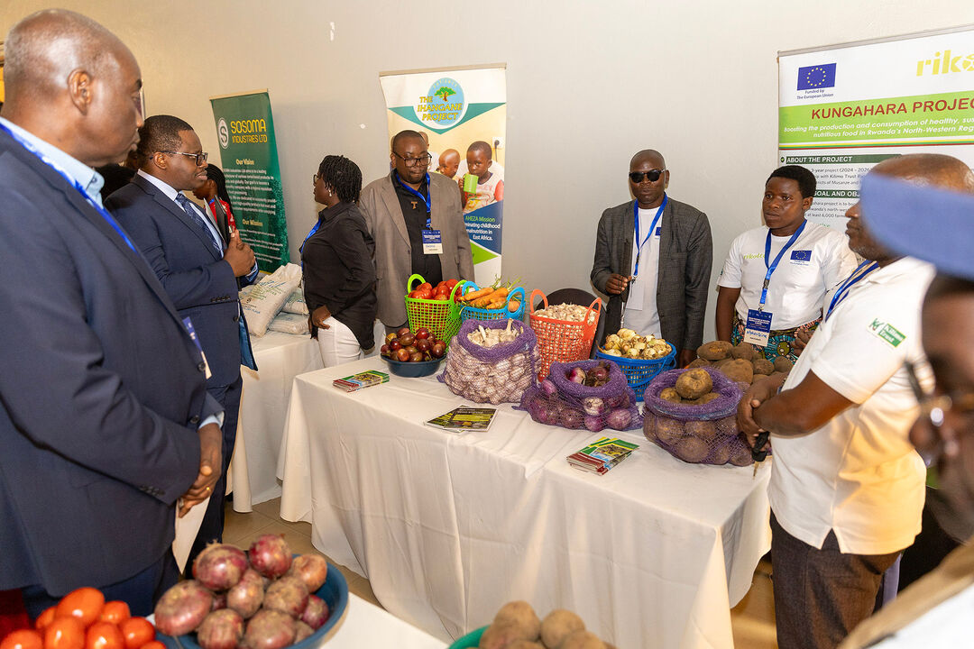 Kungahara March 2026 activity